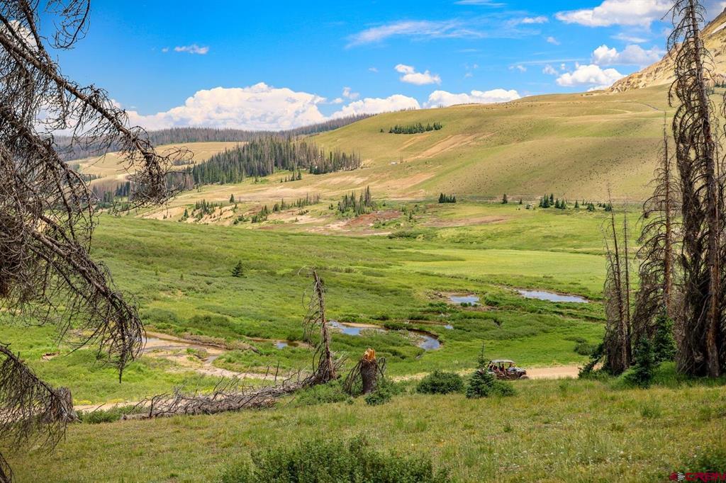 Lot 2 Forest Service Road 330 South Fork CO 81154