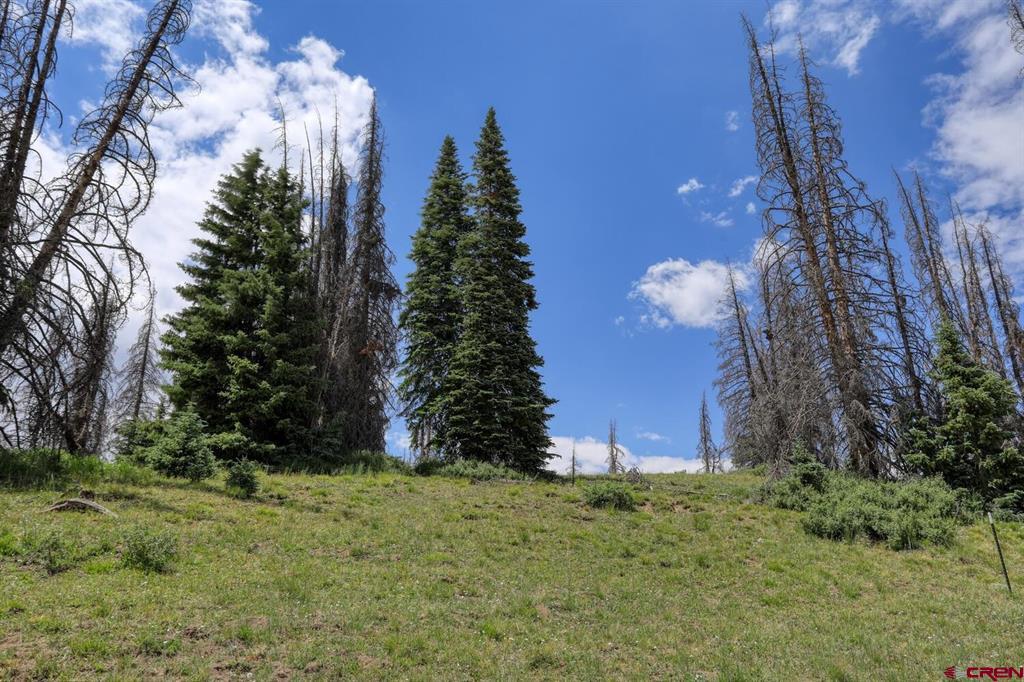 Lot 2 Forest Service Road 330 South Fork CO 81154