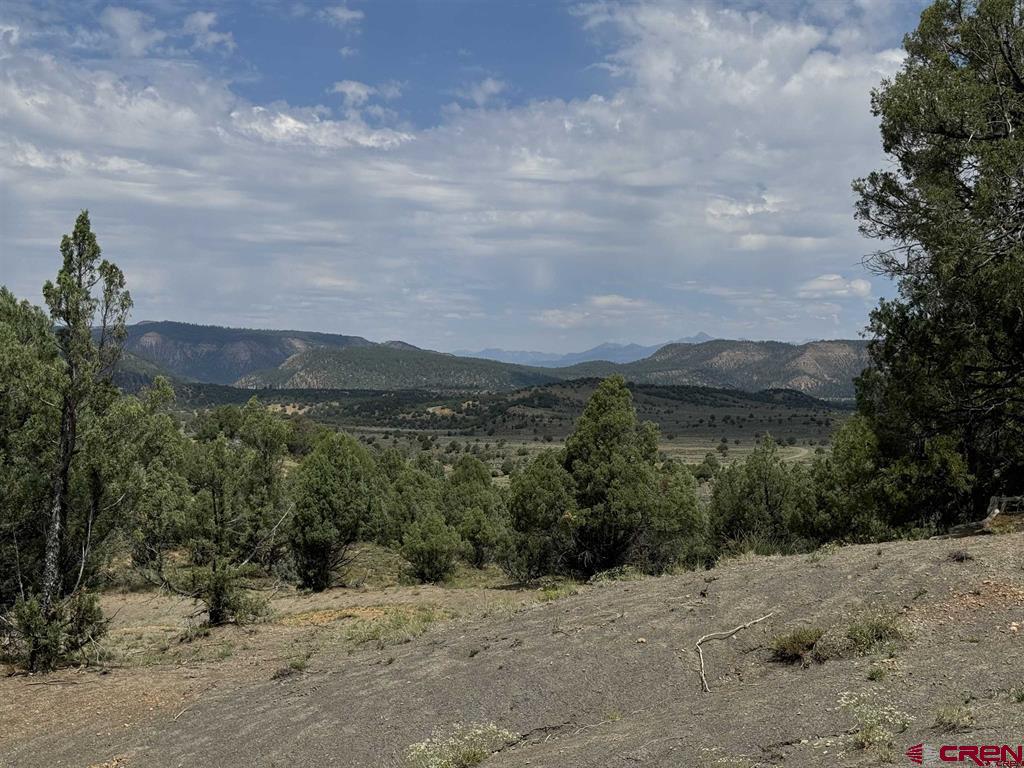2241 S Rockcliff Circle Pagosa Springs CO 81147