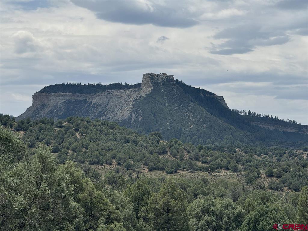 2241 S Rockcliff Circle Pagosa Springs CO 81147
