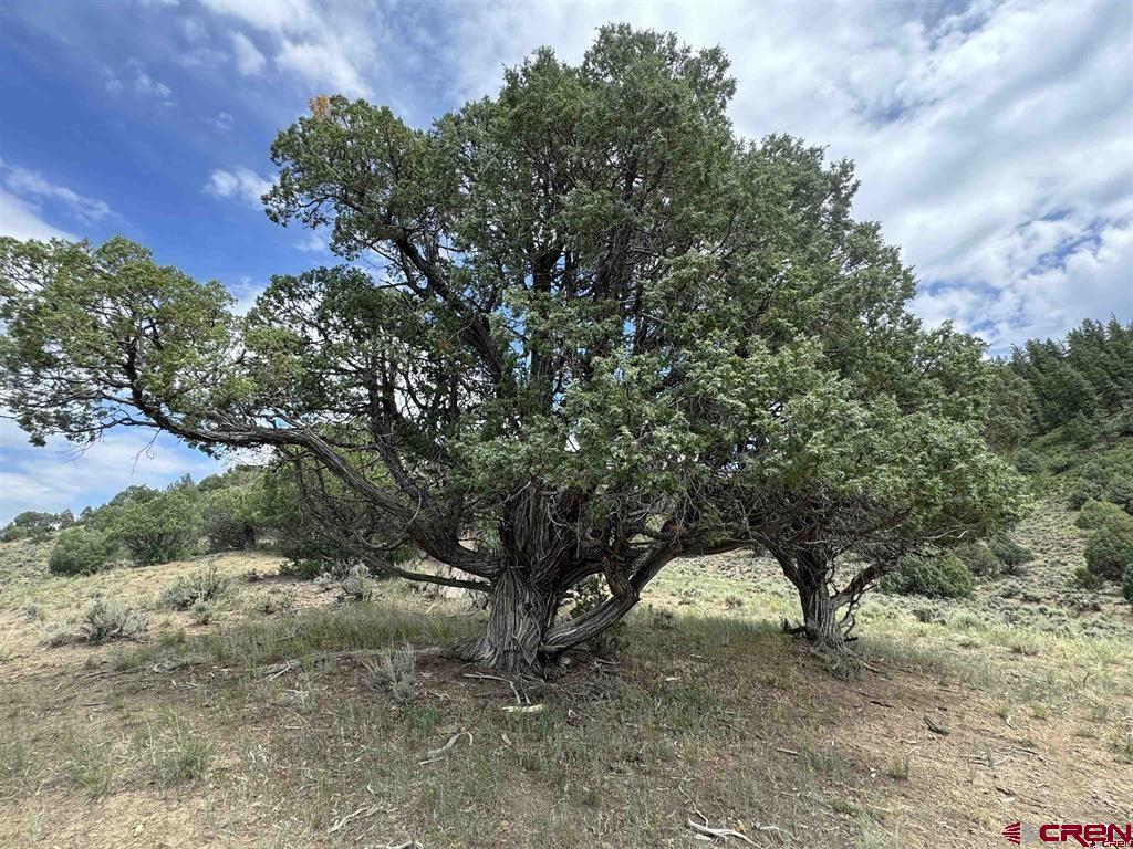 2241 S Rockcliff Circle Pagosa Springs CO 81147