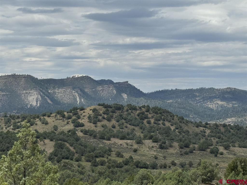 2241 S Rockcliff Circle Pagosa Springs CO 81147