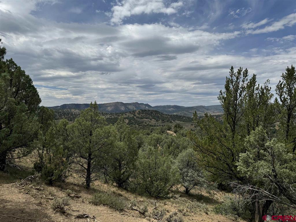 2241 S Rockcliff Circle Pagosa Springs CO 81147