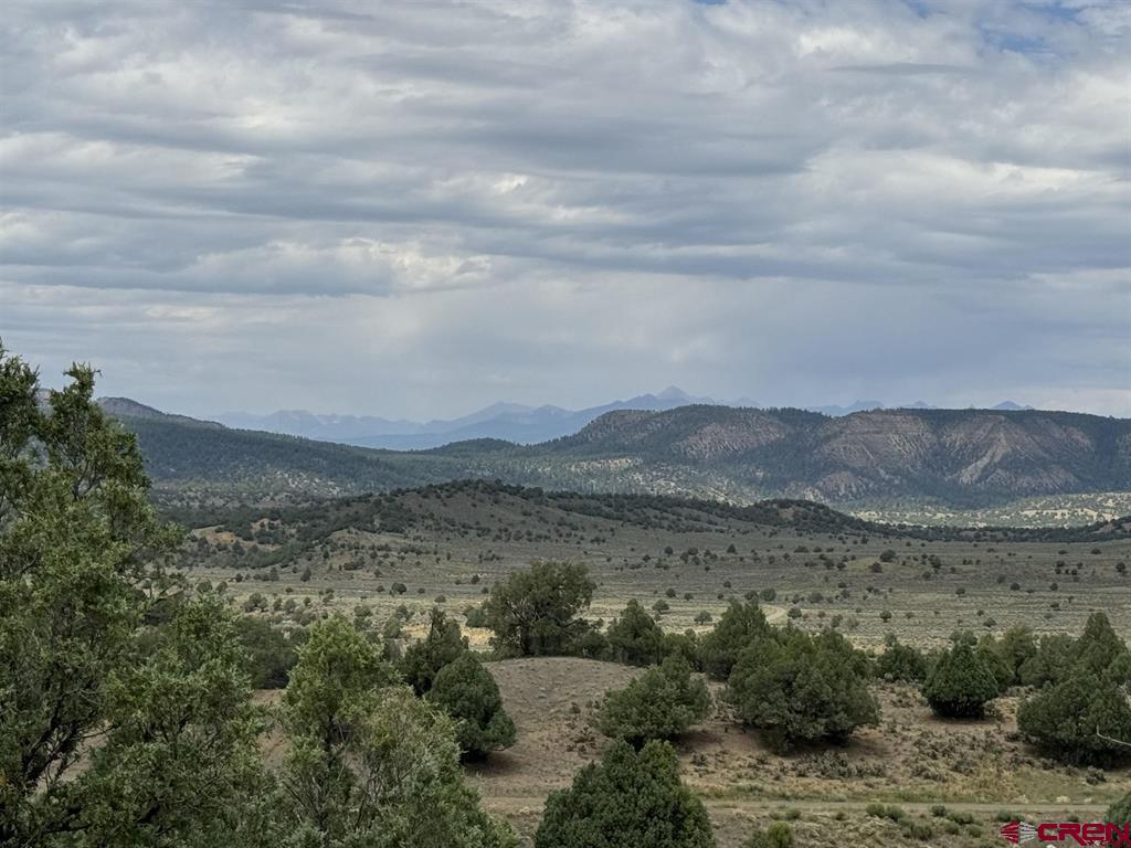 2241 S Rockcliff Circle Pagosa Springs CO 81147