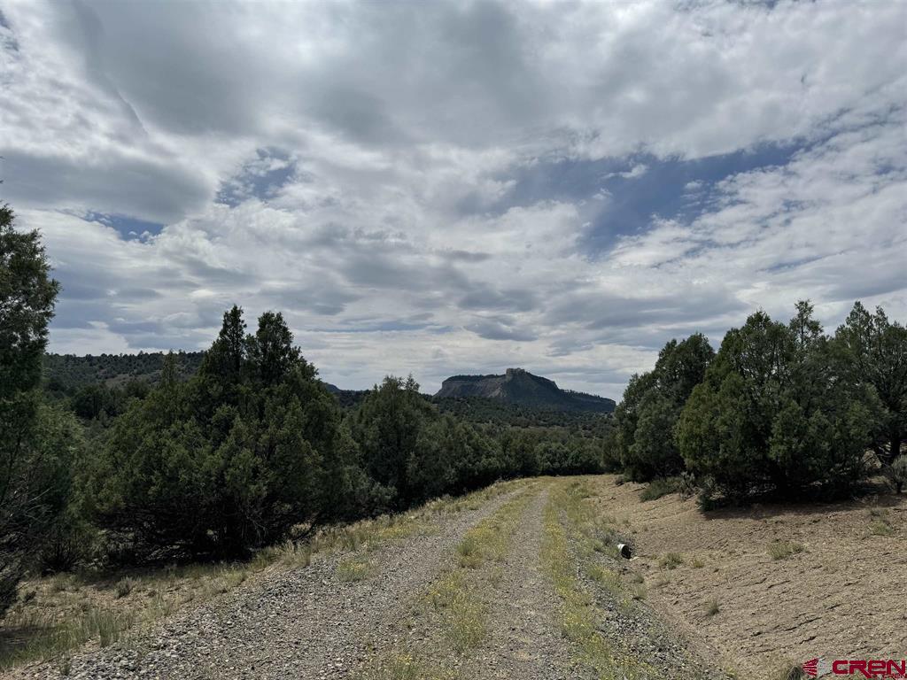 2241 S Rockcliff Circle Pagosa Springs CO 81147