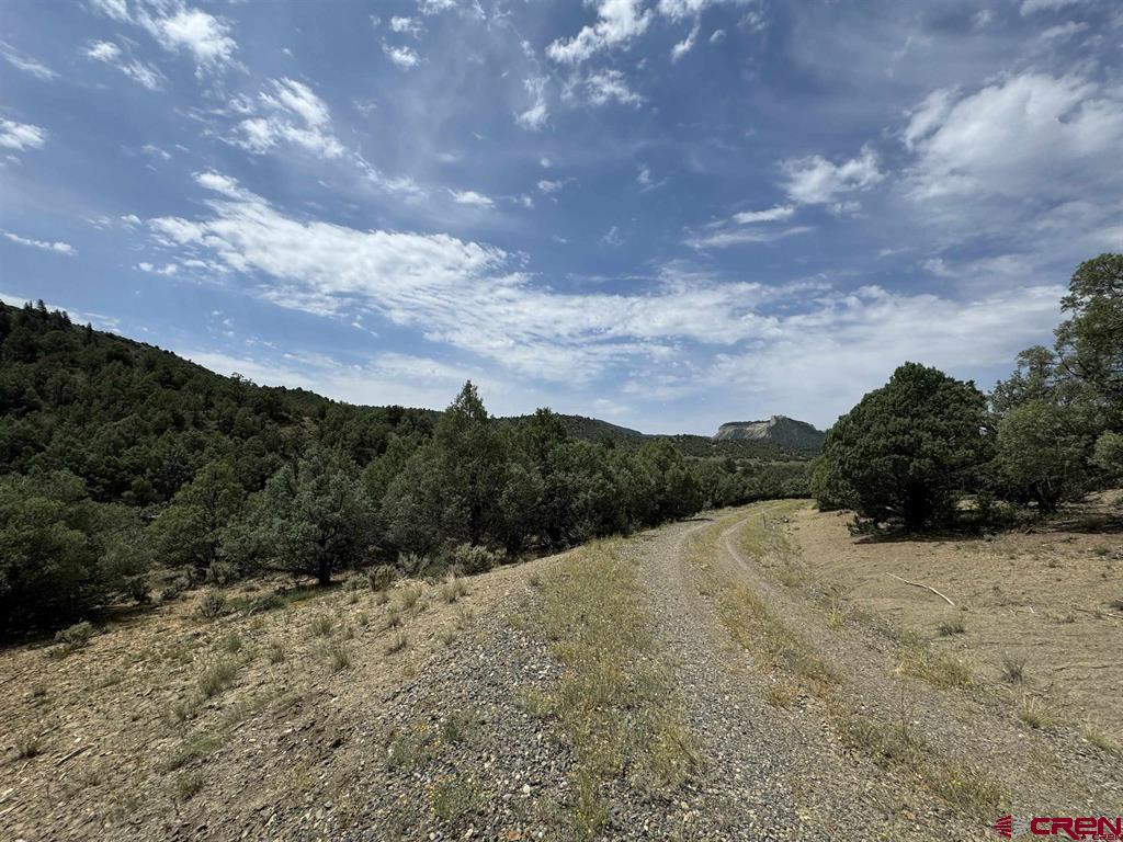 2241 S Rockcliff Circle Pagosa Springs CO 81147