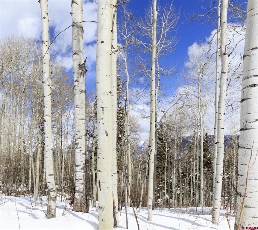 Tbd Story Fork Road Durango CO 81301
