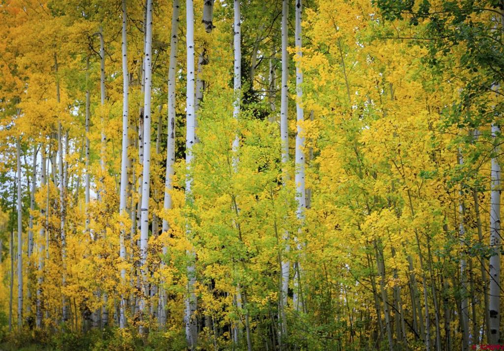 Tbd Story Fork Road Durango CO 81301