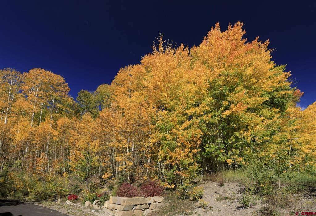 Tbd Story Fork Road Durango CO 81301
