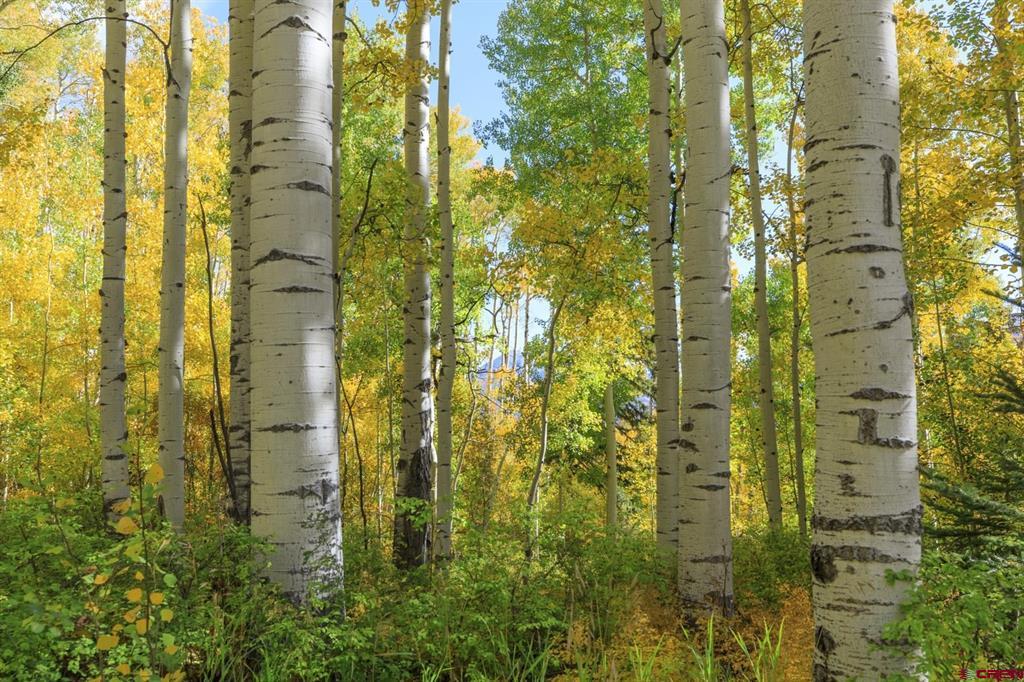 Tbd Story Fork Road Durango CO 81301