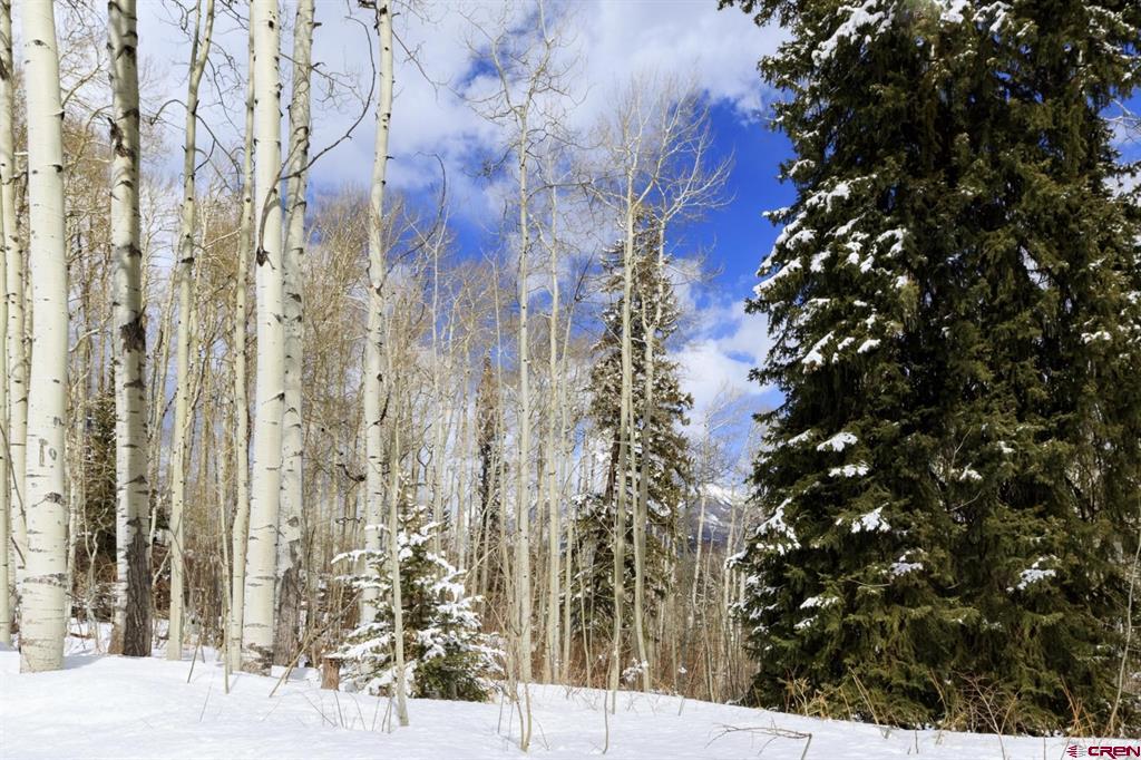 Tbd Story Fork Road Durango CO 81301