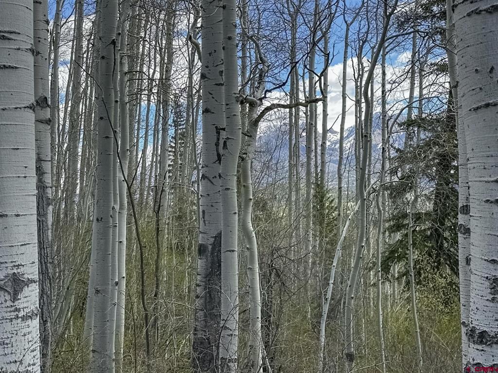 Tbd Story Fork Road Durango CO 81301