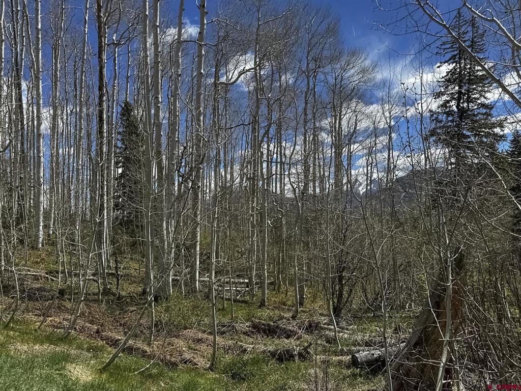 Tbd Story Fork Road Durango CO 81301