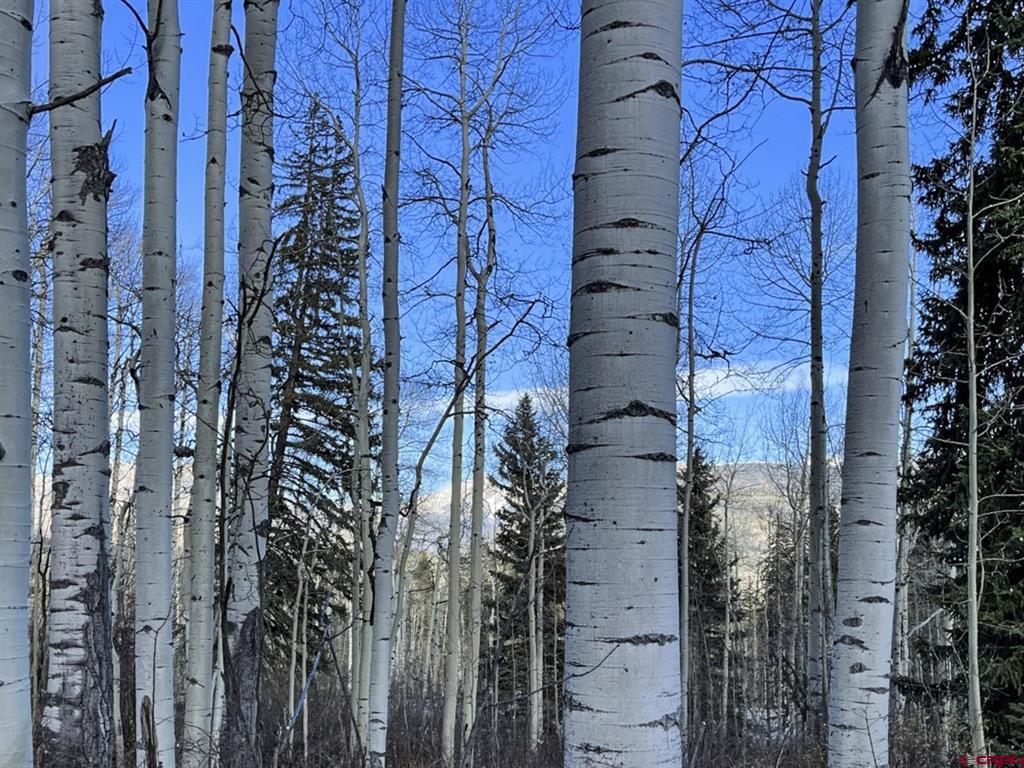 Tbd Story Fork Road Durango CO 81301