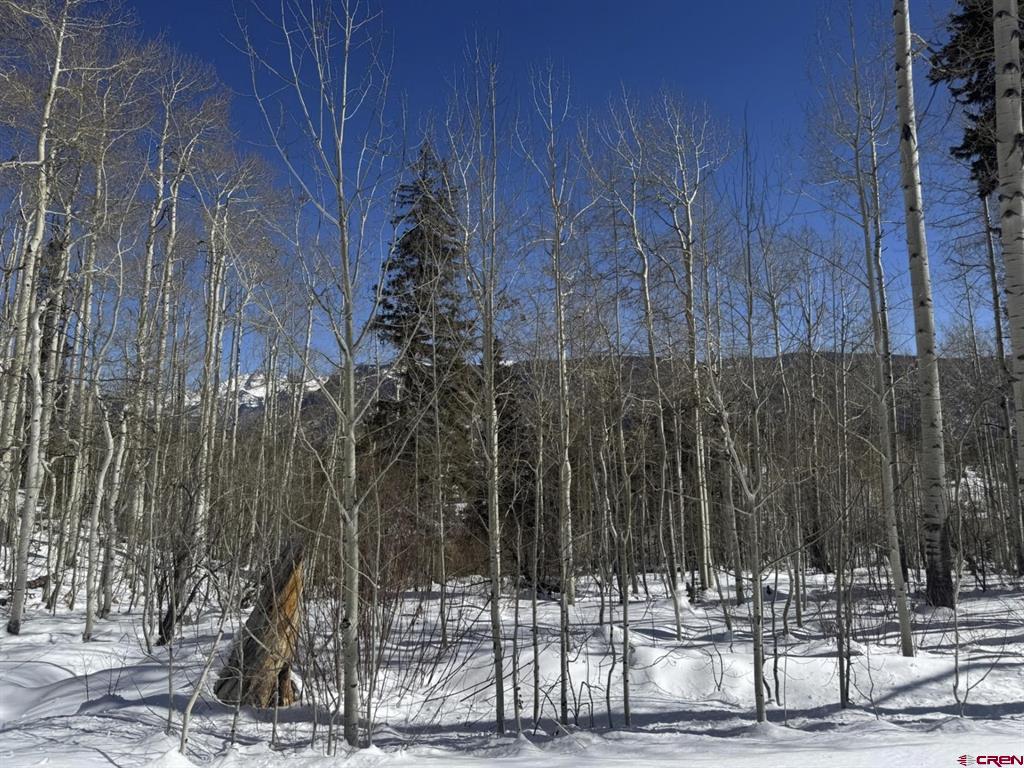 Tbd Story Fork Road Durango CO 81301