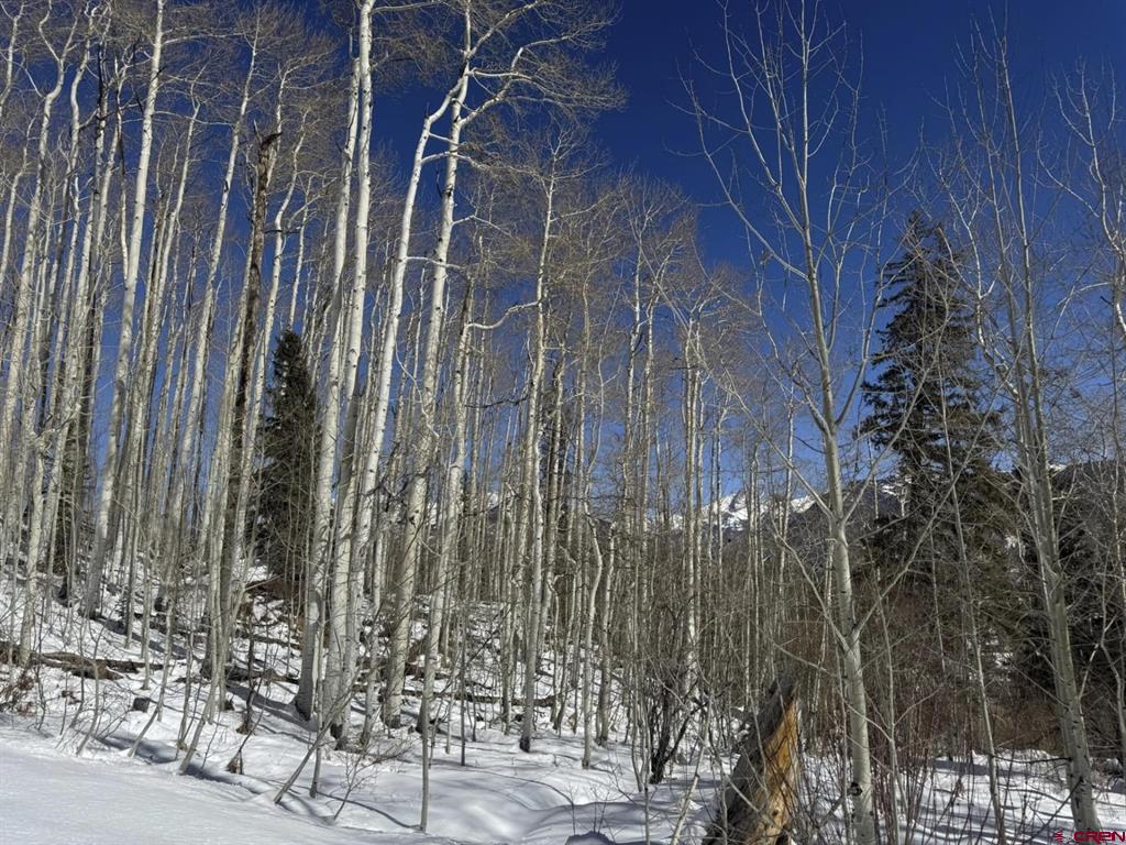 Tbd Story Fork Road Durango CO 81301