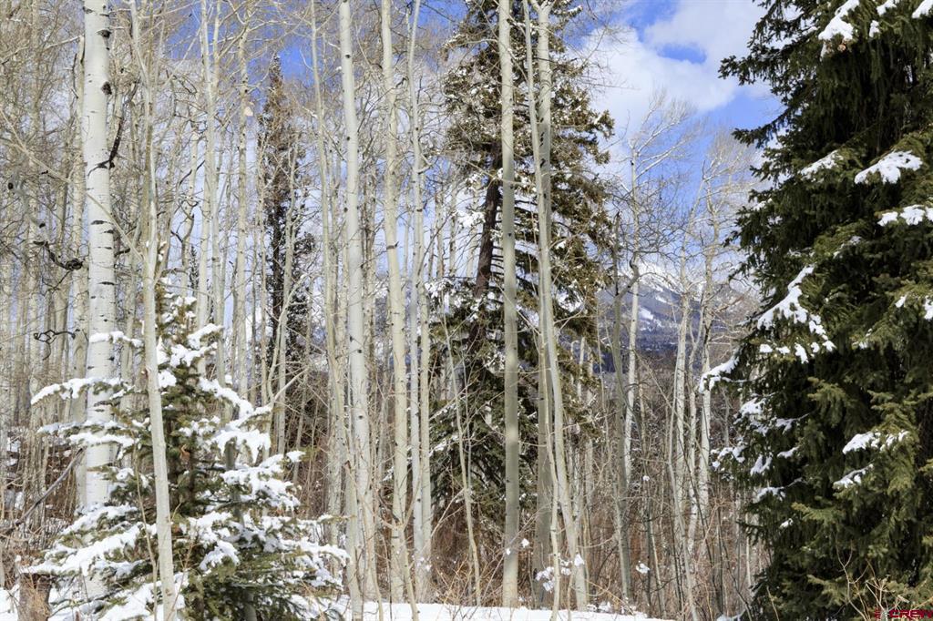 Tbd Story Fork Road Durango CO 81301