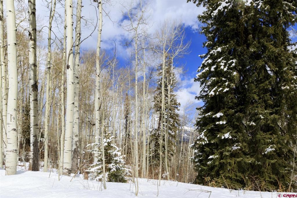 Tbd Story Fork Road Durango CO 81301