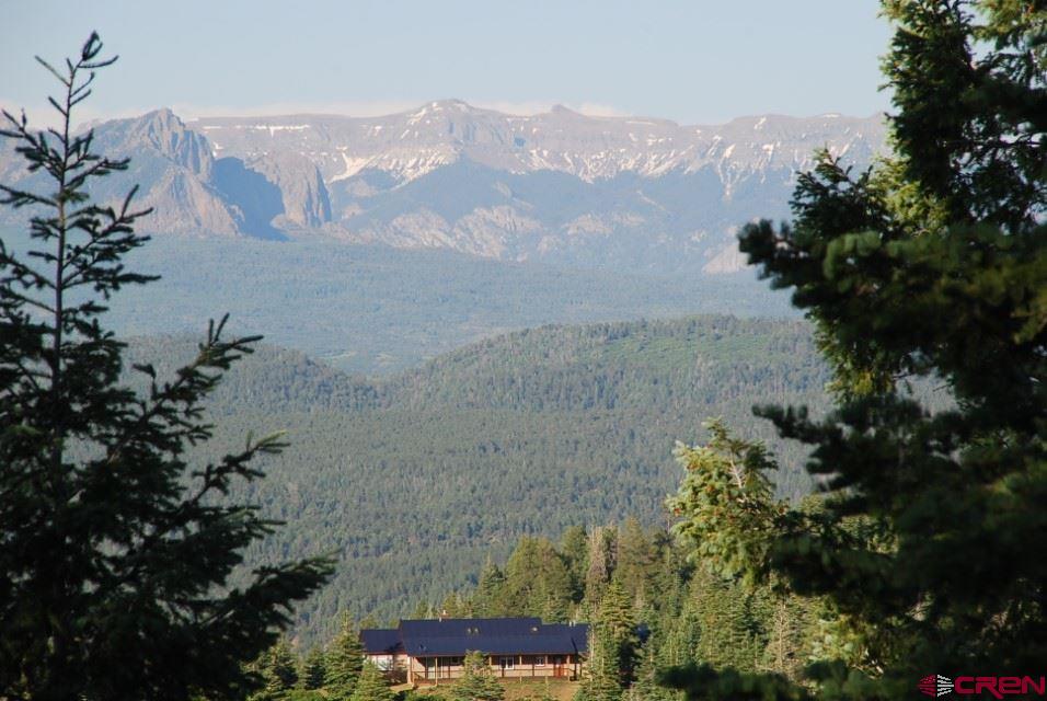 X Cold Springs Court Pagosa Springs CO 81147