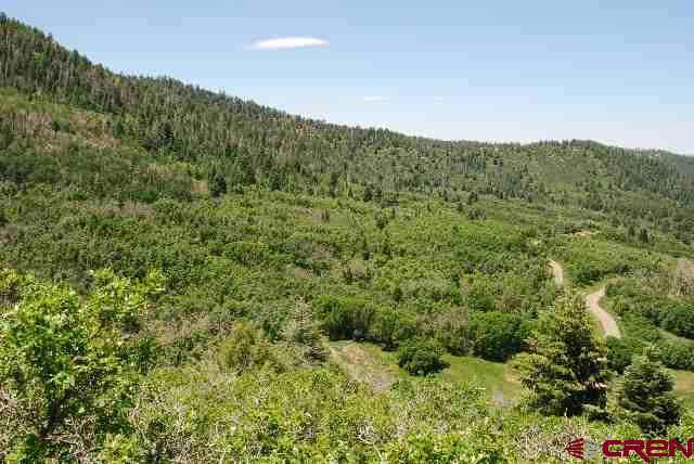 X Cold Springs Court Pagosa Springs CO 81147
