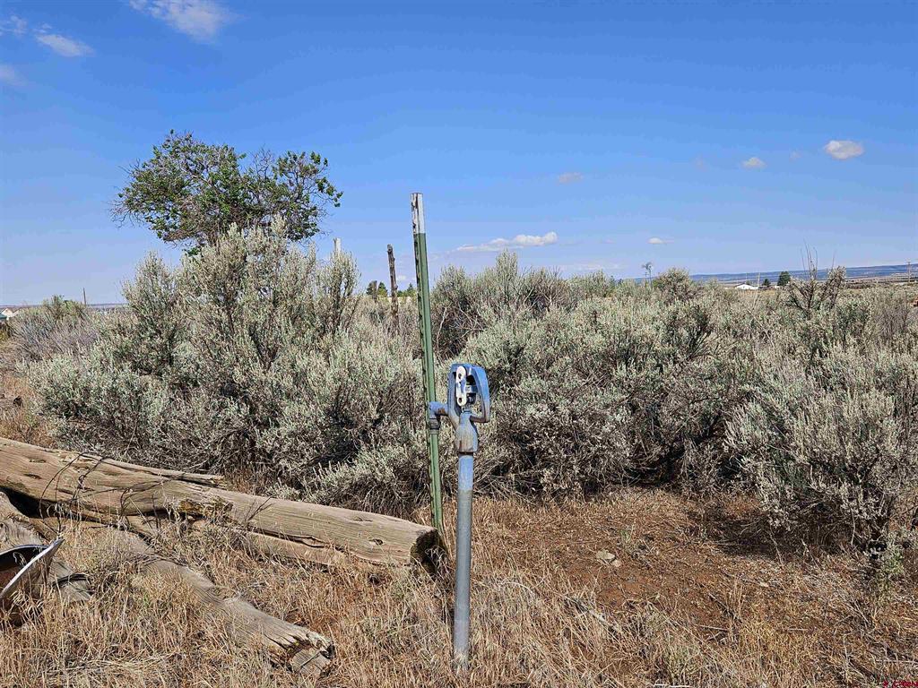 159 Adobe House Road Hesperus CO 81326