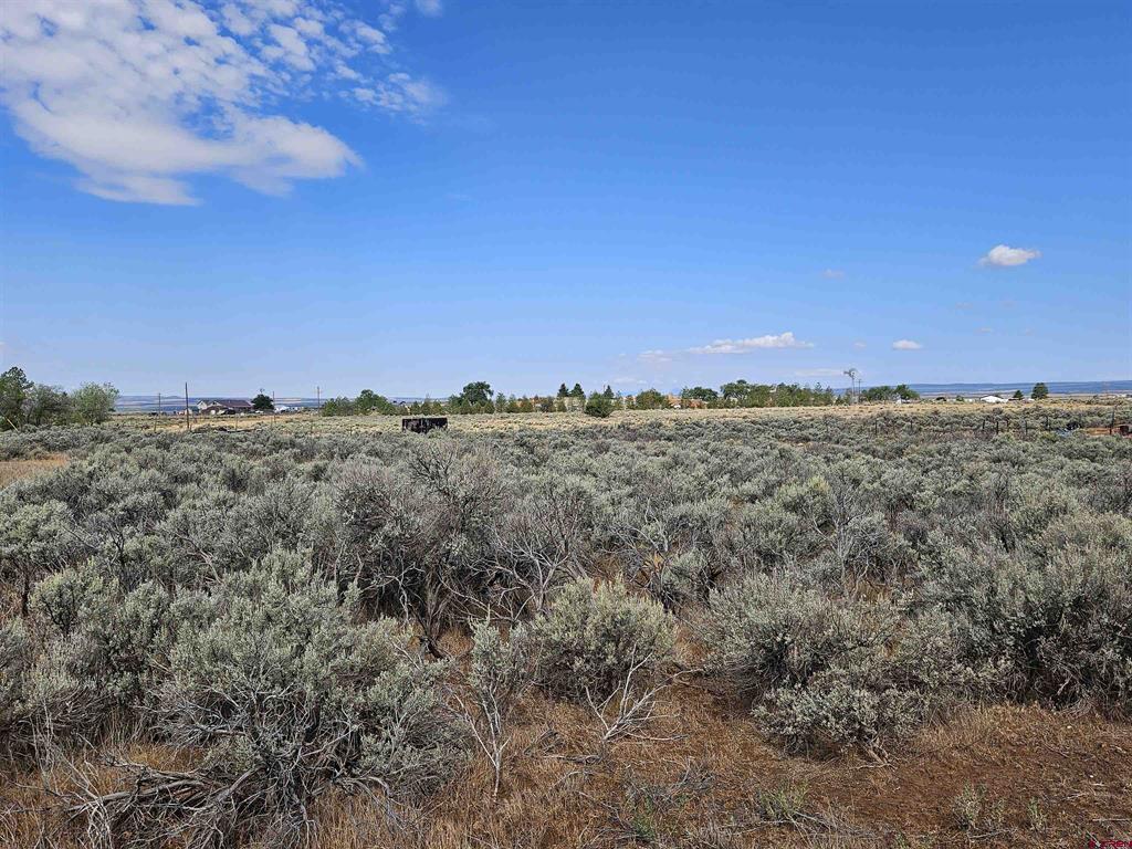 159 Adobe House Road Hesperus CO 81326