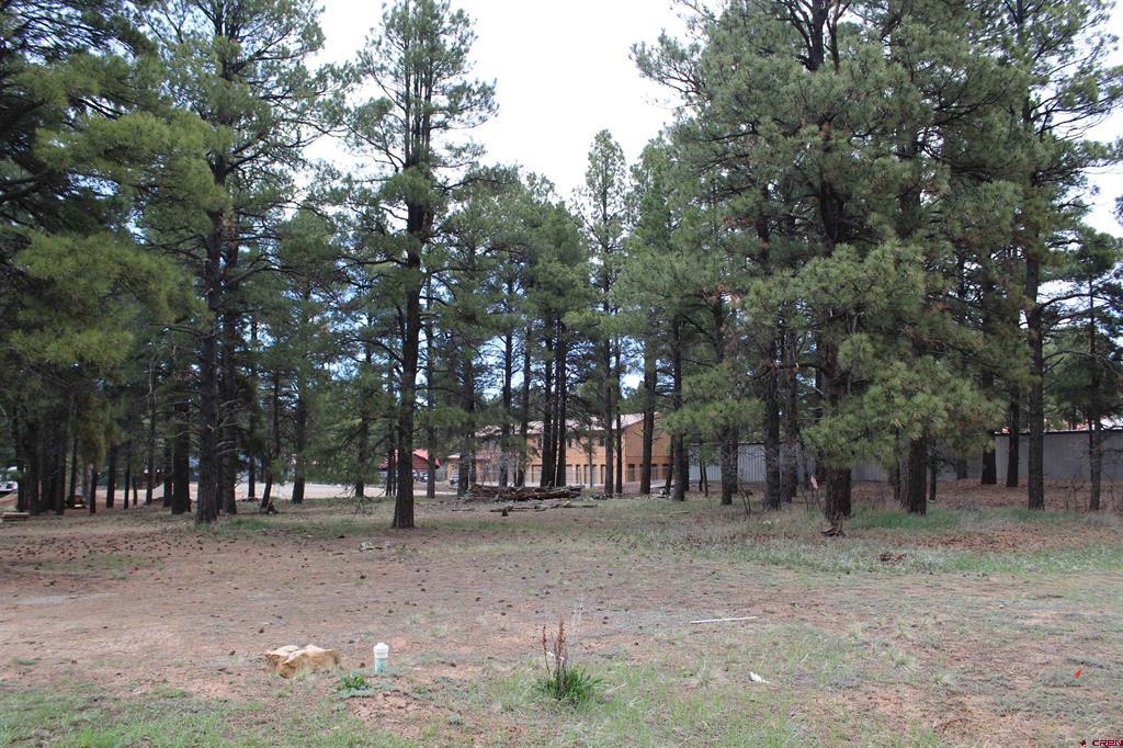 207 Bastille Drive Pagosa Springs CO 81147