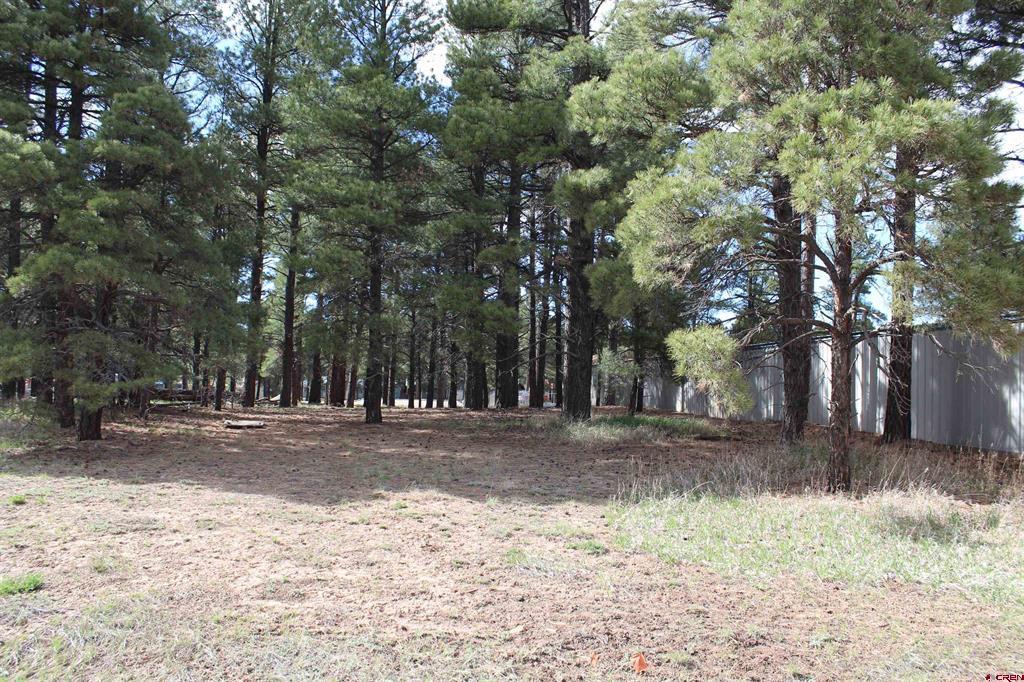 207 Bastille Drive Pagosa Springs CO 81147