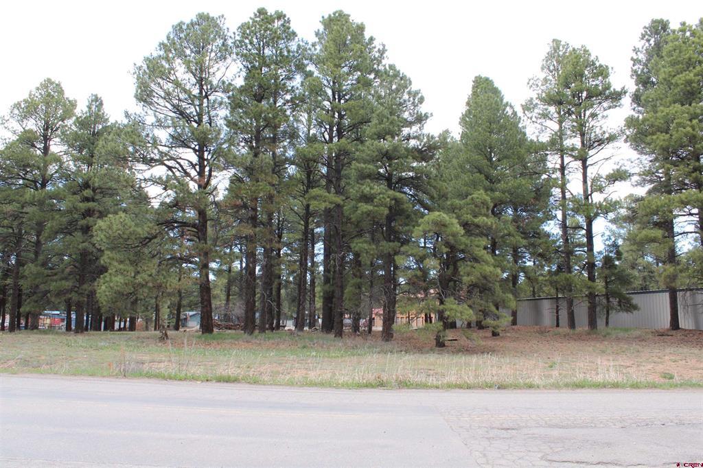 207 Bastille Drive Pagosa Springs CO 81147