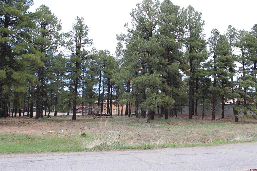 207 Bastille Drive Pagosa Springs CO 81147