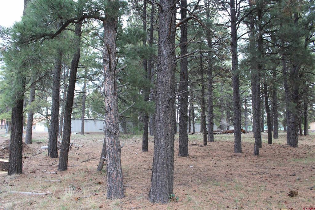 207 Bastille Drive Pagosa Springs CO 81147