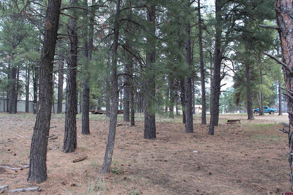 207 Bastille Drive Pagosa Springs CO 81147
