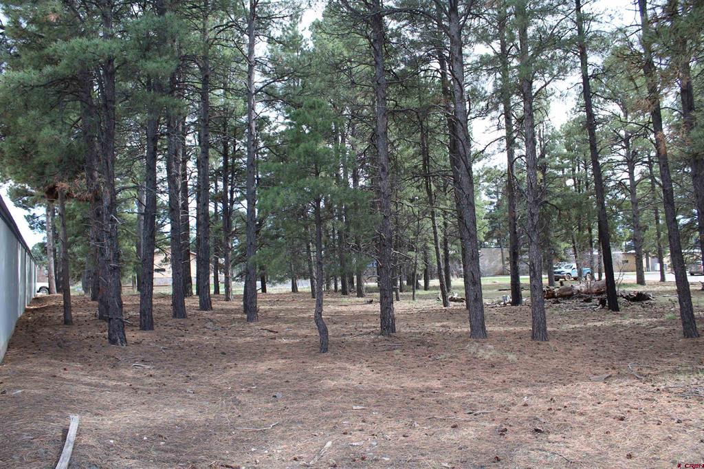 207 Bastille Drive Pagosa Springs CO 81147