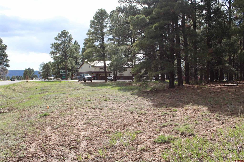 207 Bastille Drive Pagosa Springs CO 81147