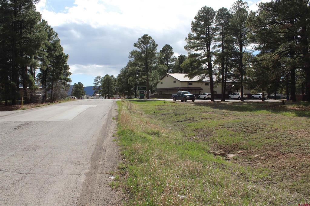 207 Bastille Drive Pagosa Springs CO 81147