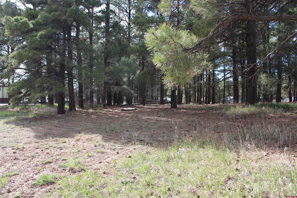 207 Bastille Drive Pagosa Springs CO 81147