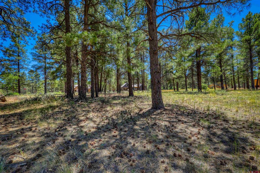 32 Monastery Court Pagosa Springs CO 81147