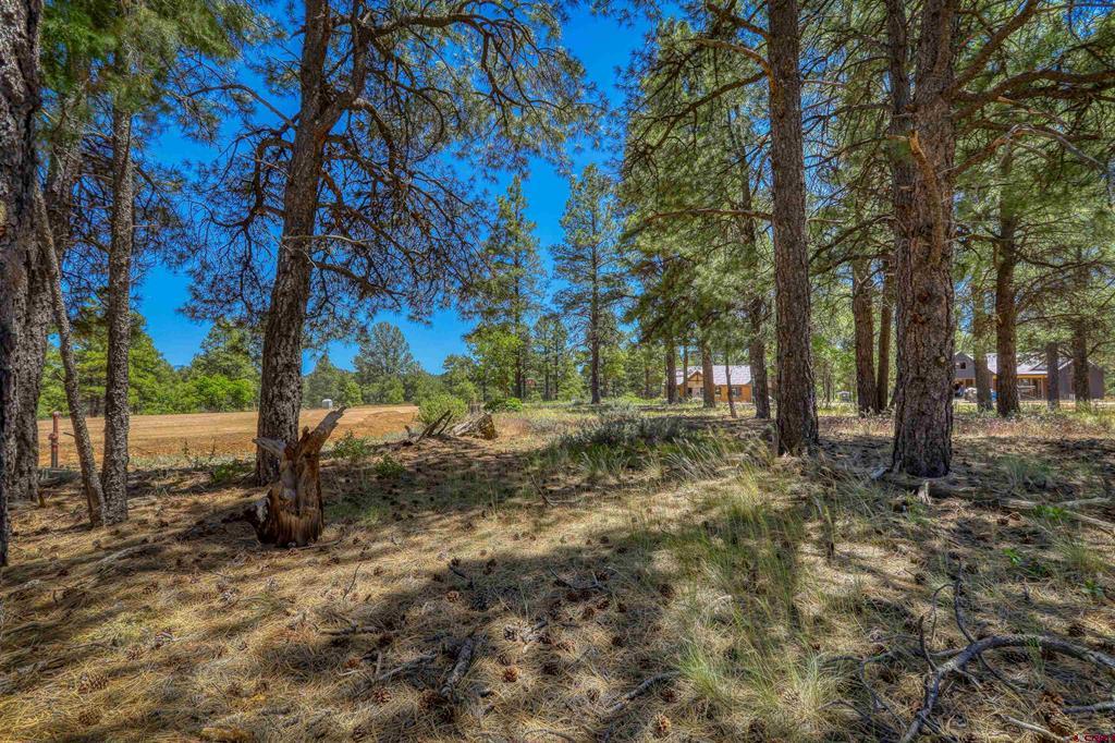 32 Monastery Court Pagosa Springs CO 81147