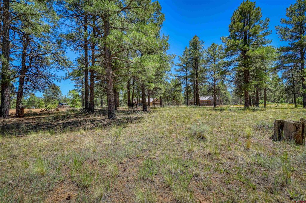 32 Monastery Court Pagosa Springs CO 81147