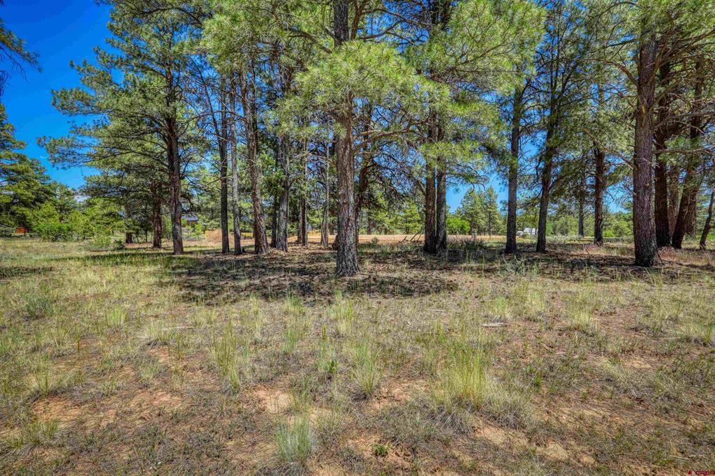 32 Monastery Court Pagosa Springs CO 81147