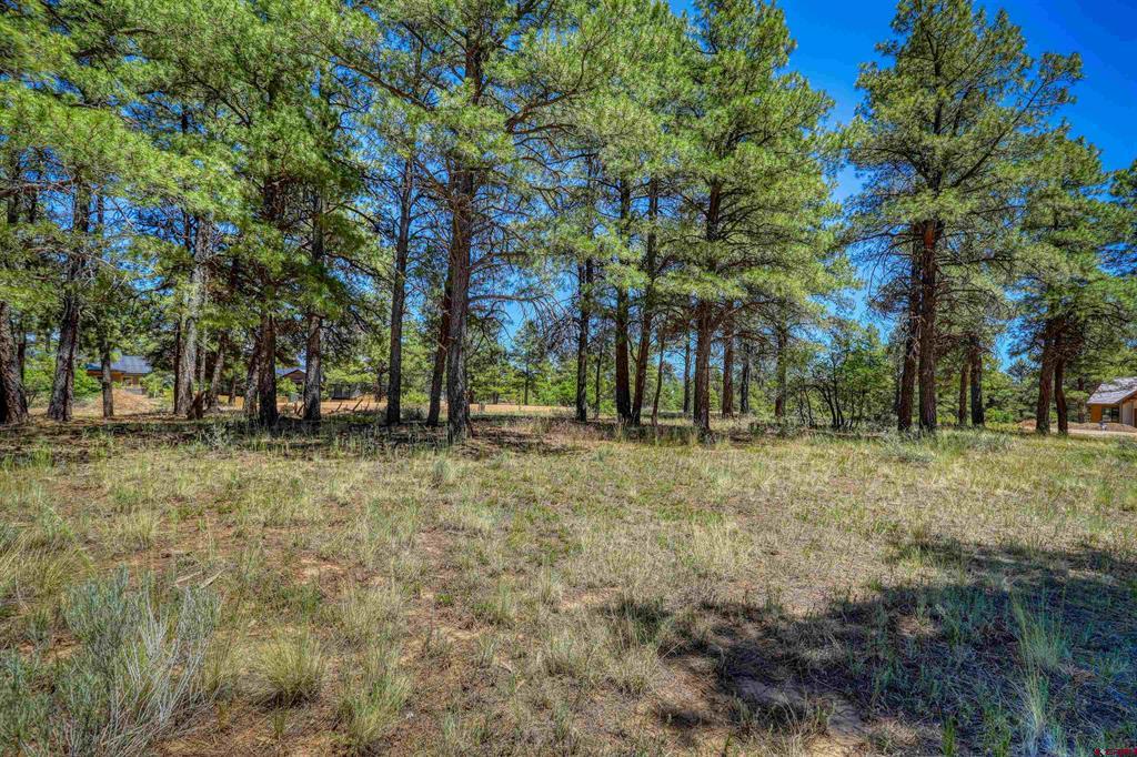32 Monastery Court Pagosa Springs CO 81147