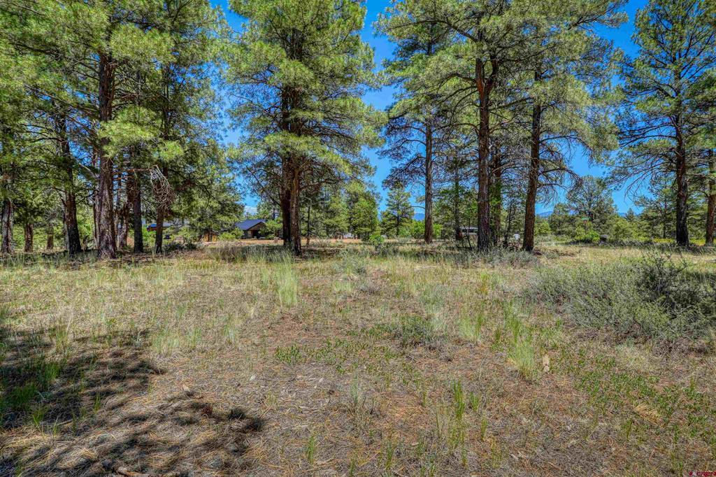 32 Monastery Court Pagosa Springs CO 81147