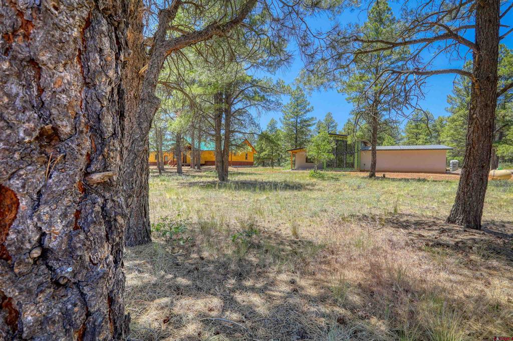 32 Monastery Court Pagosa Springs CO 81147