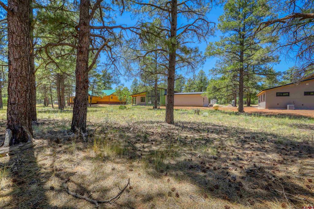 32 Monastery Court Pagosa Springs CO 81147