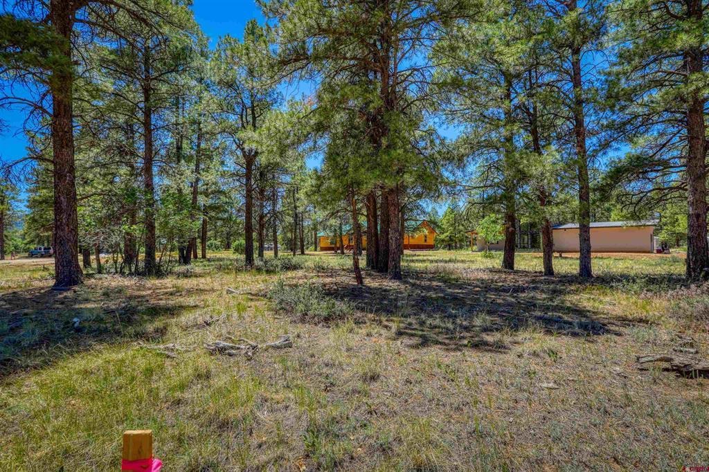 32 Monastery Court Pagosa Springs CO 81147