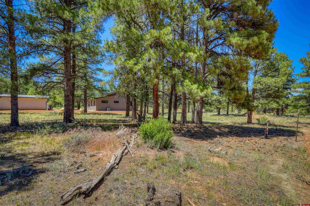 32 Monastery Court Pagosa Springs CO 81147