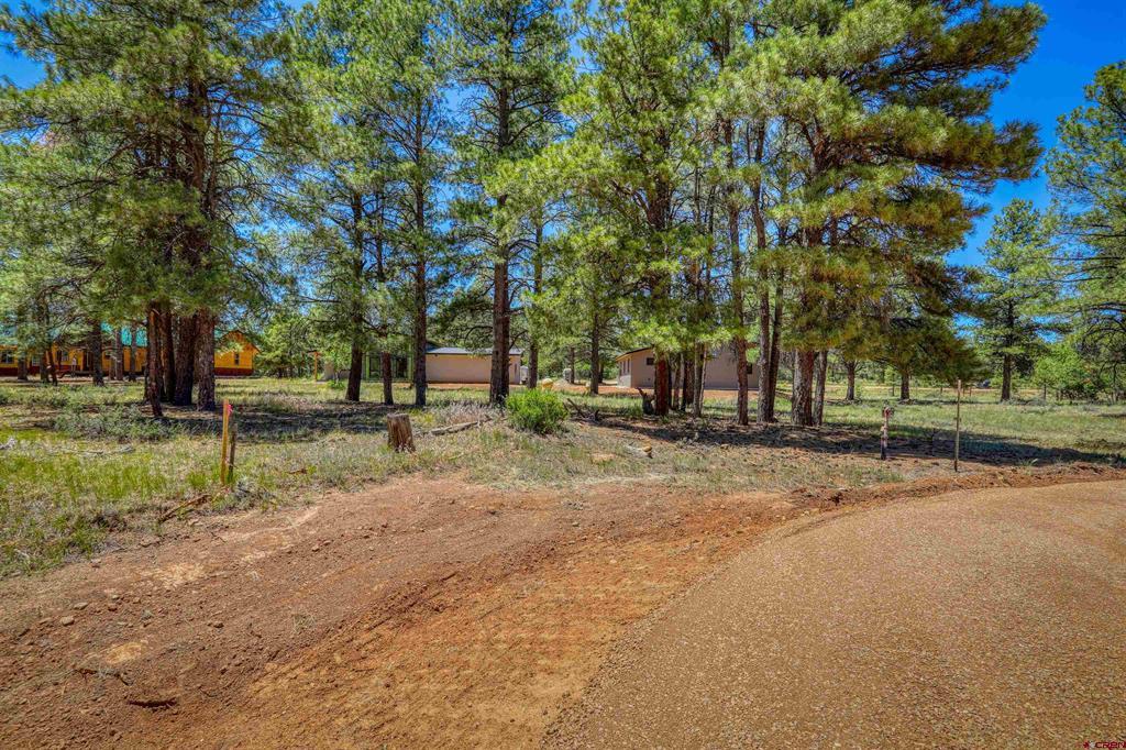 32 Monastery Court Pagosa Springs CO 81147