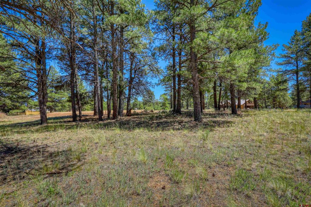 32 Monastery Court Pagosa Springs CO 81147
