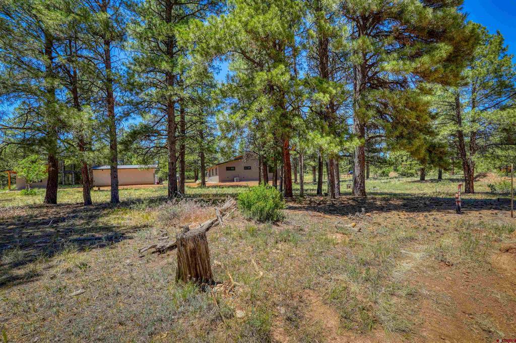 32 Monastery Court Pagosa Springs CO 81147