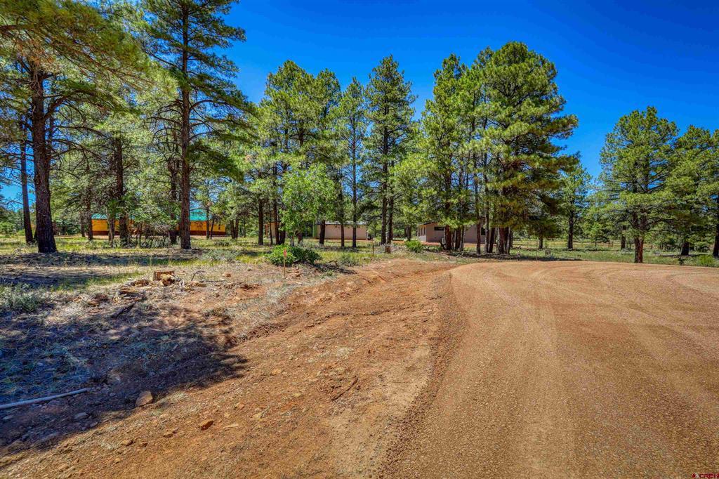 32 Monastery Court Pagosa Springs CO 81147